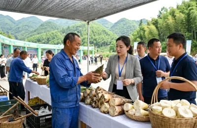 方竹笋产销对接会在遵义举行相关配图