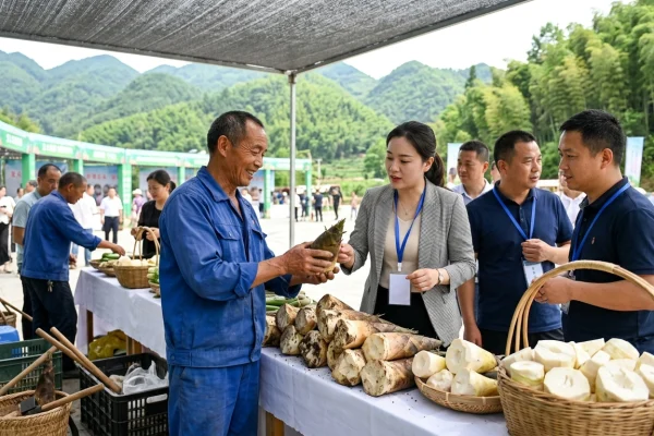 方竹笋产销对接会在遵义举行相关配图